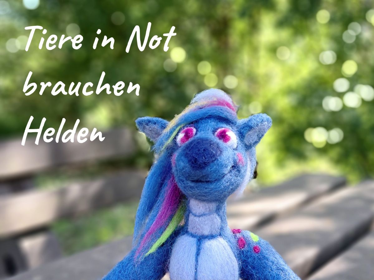 Eine kleine blaue Drachenfigur aus Filz sitzt auf einem Tisch und im Hintergrund erkennt man verschwommen grüne Pflanzen. Oben links ist ein weißer Schriftzug Tiere in Not brauchen Helden.